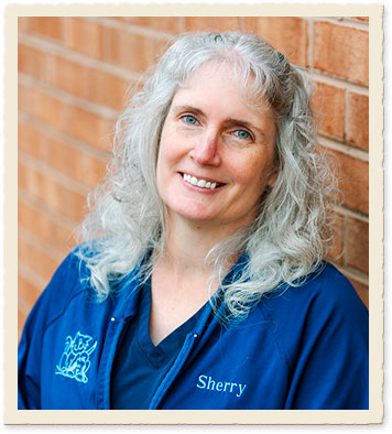 Maple Shade Animal Hospital Staff